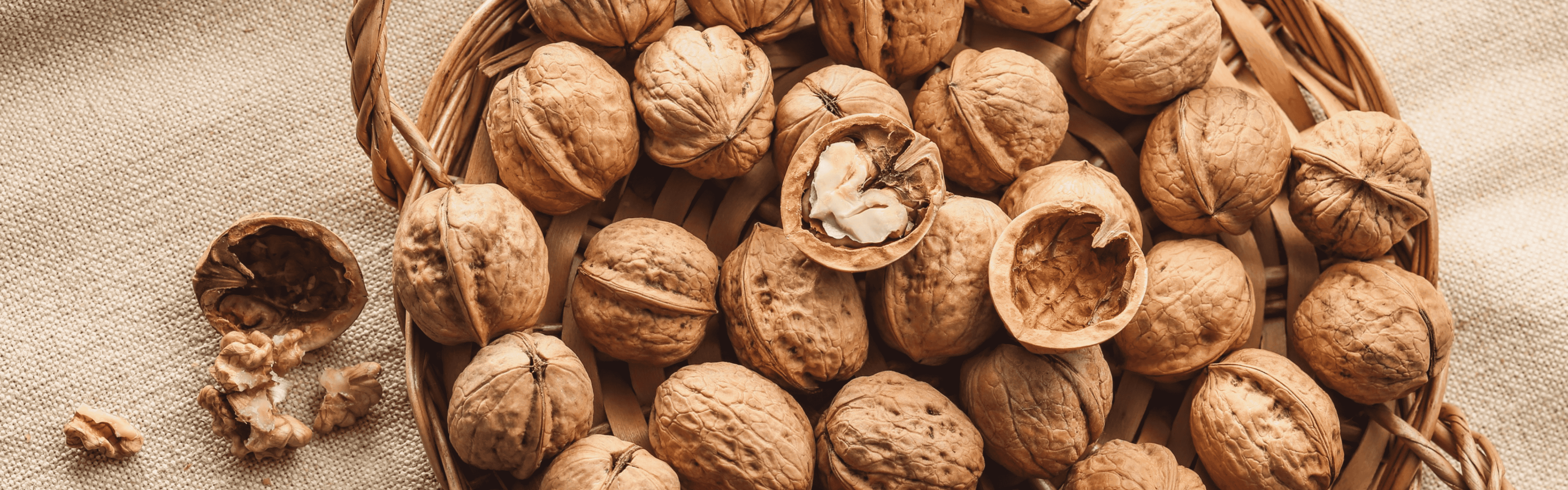 Doğal  Lezzetleri Keşfedin